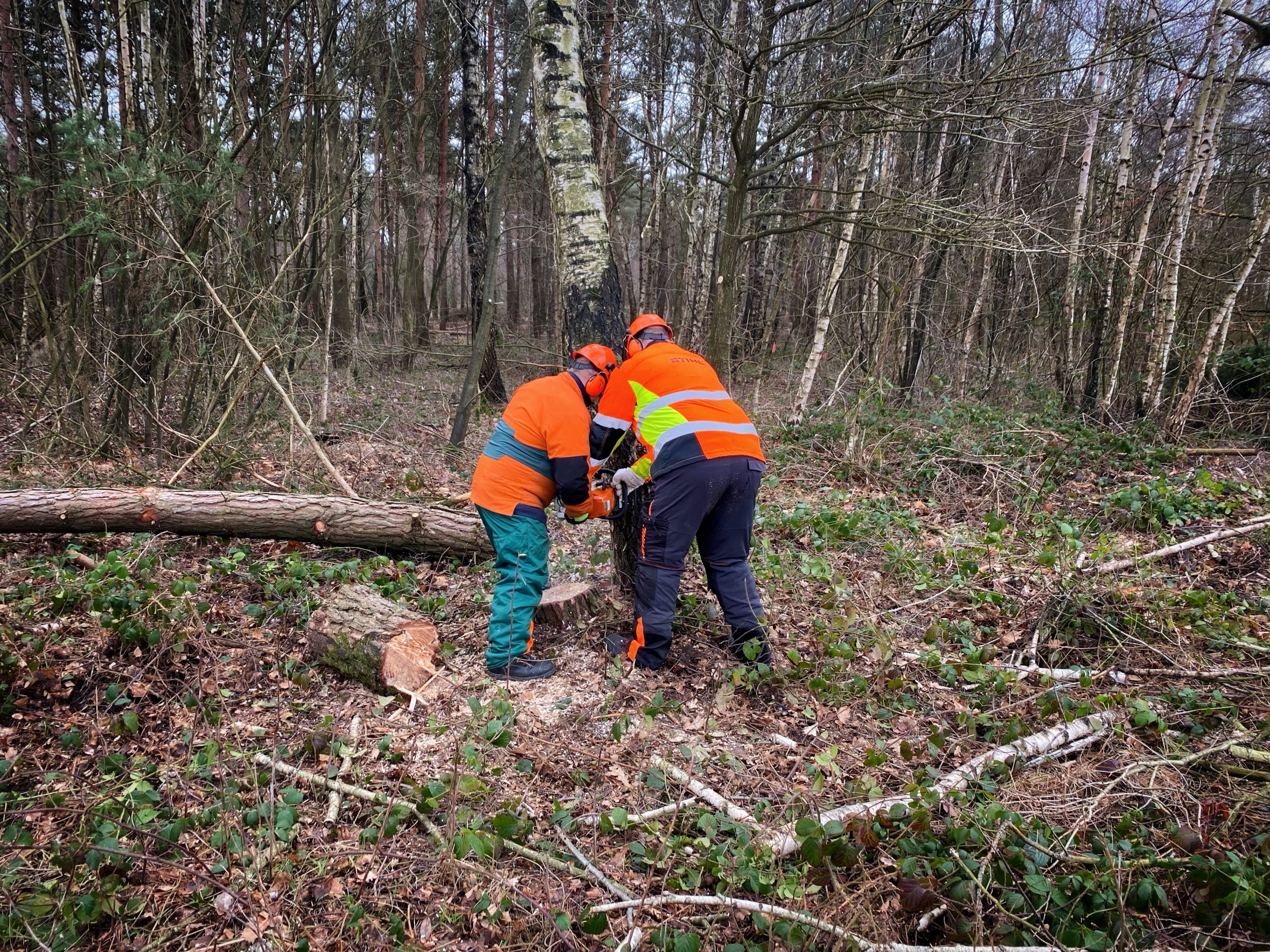 Kettensägenlehrgang_FFO_MuniBerka_012023 (11)