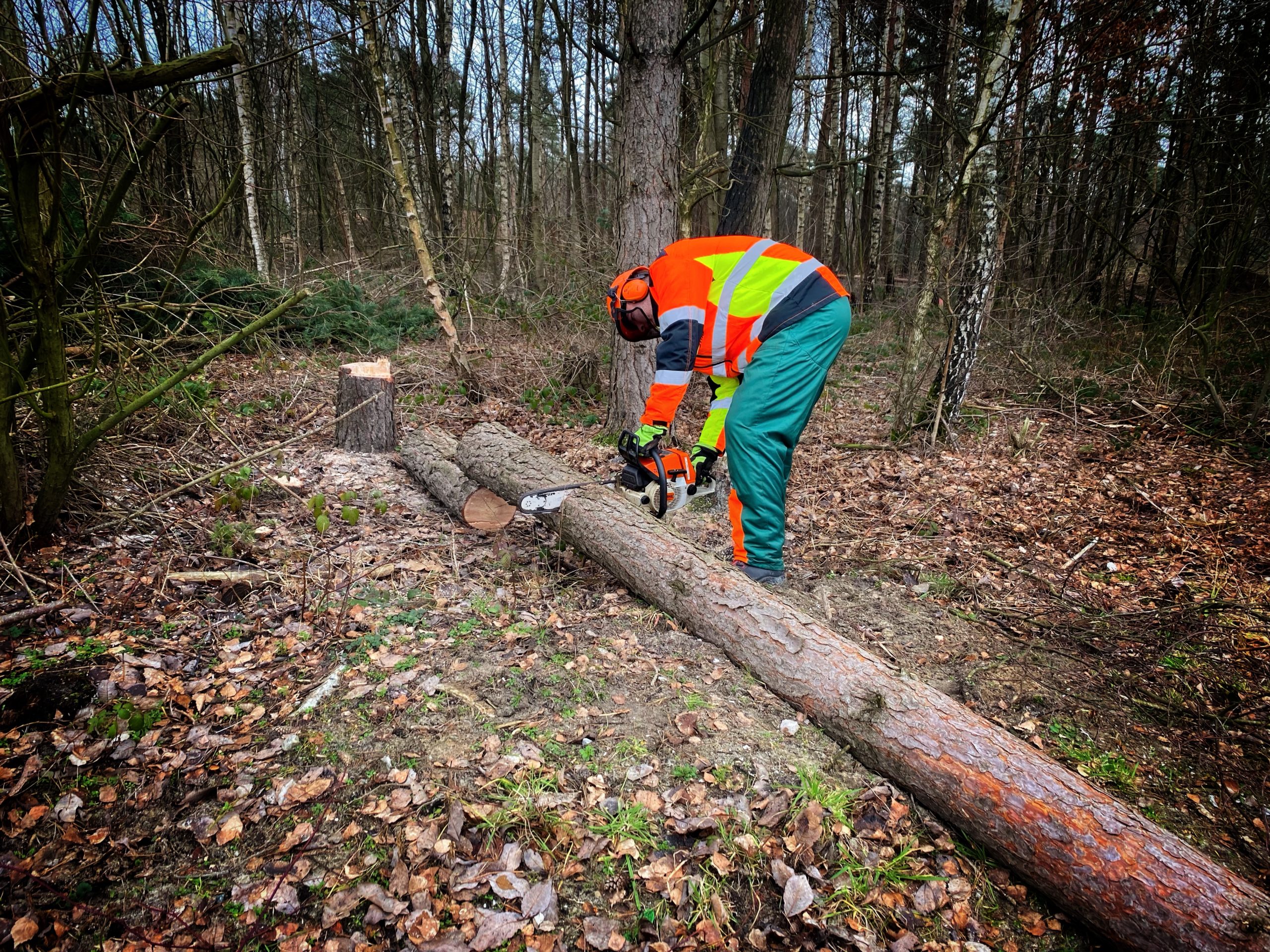 Kettensägenlehrgang_FFO_MuniBerka_012023 (8)