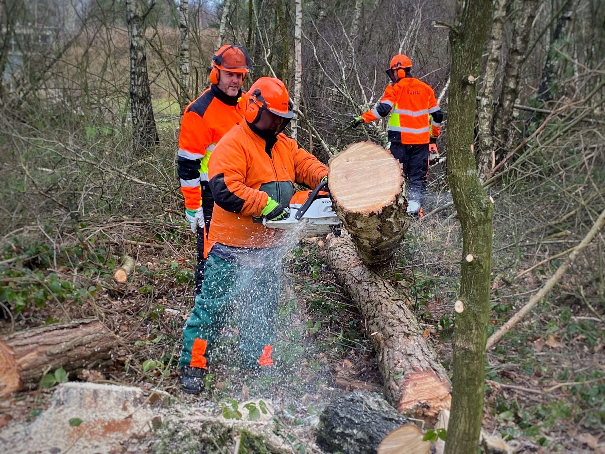 Kettensägenlehrgang_FFO_MuniBerka_012023 (9)