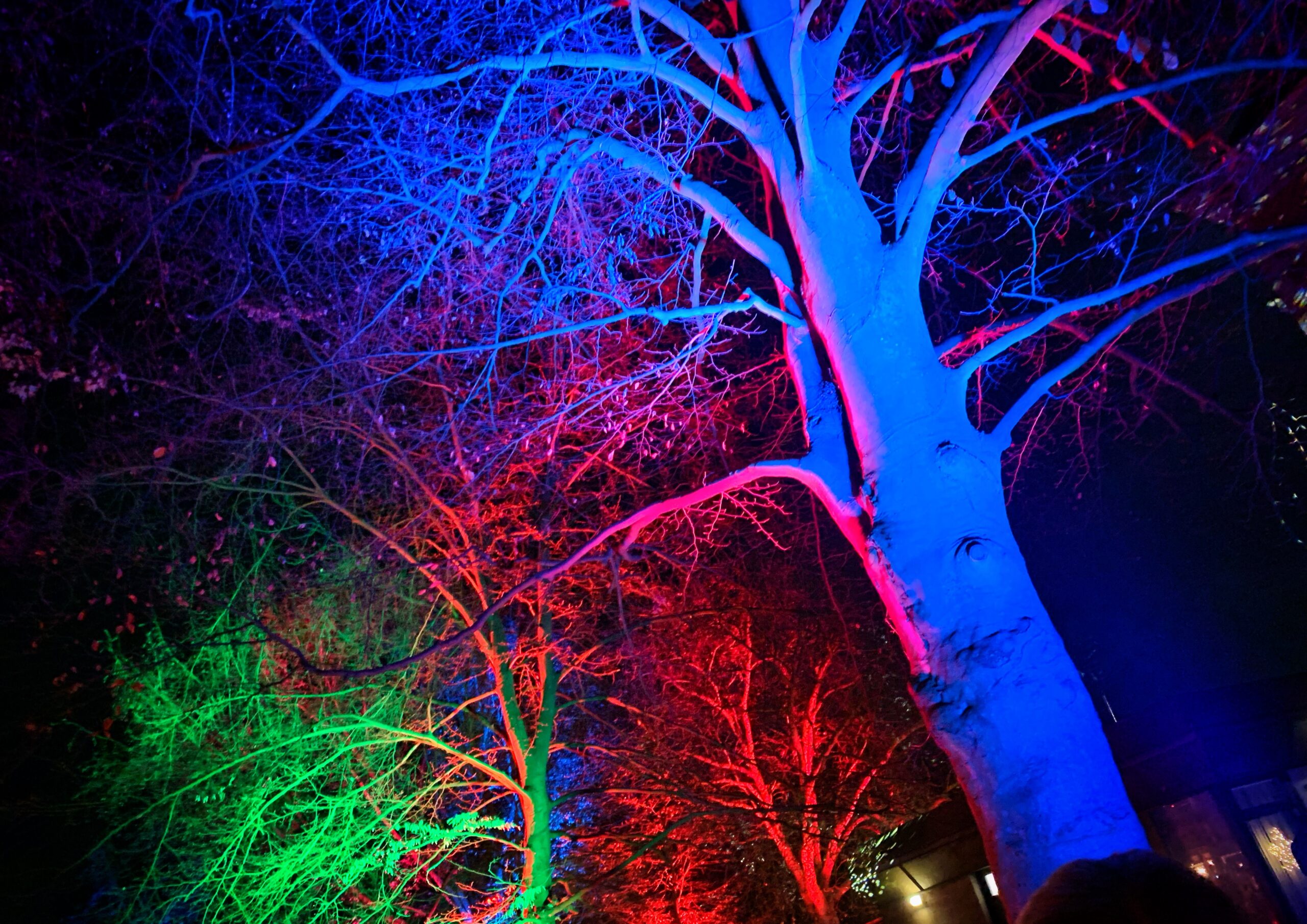 Advent_in_allen_Winkeln_2025_FFO_Gruppe1 (2)