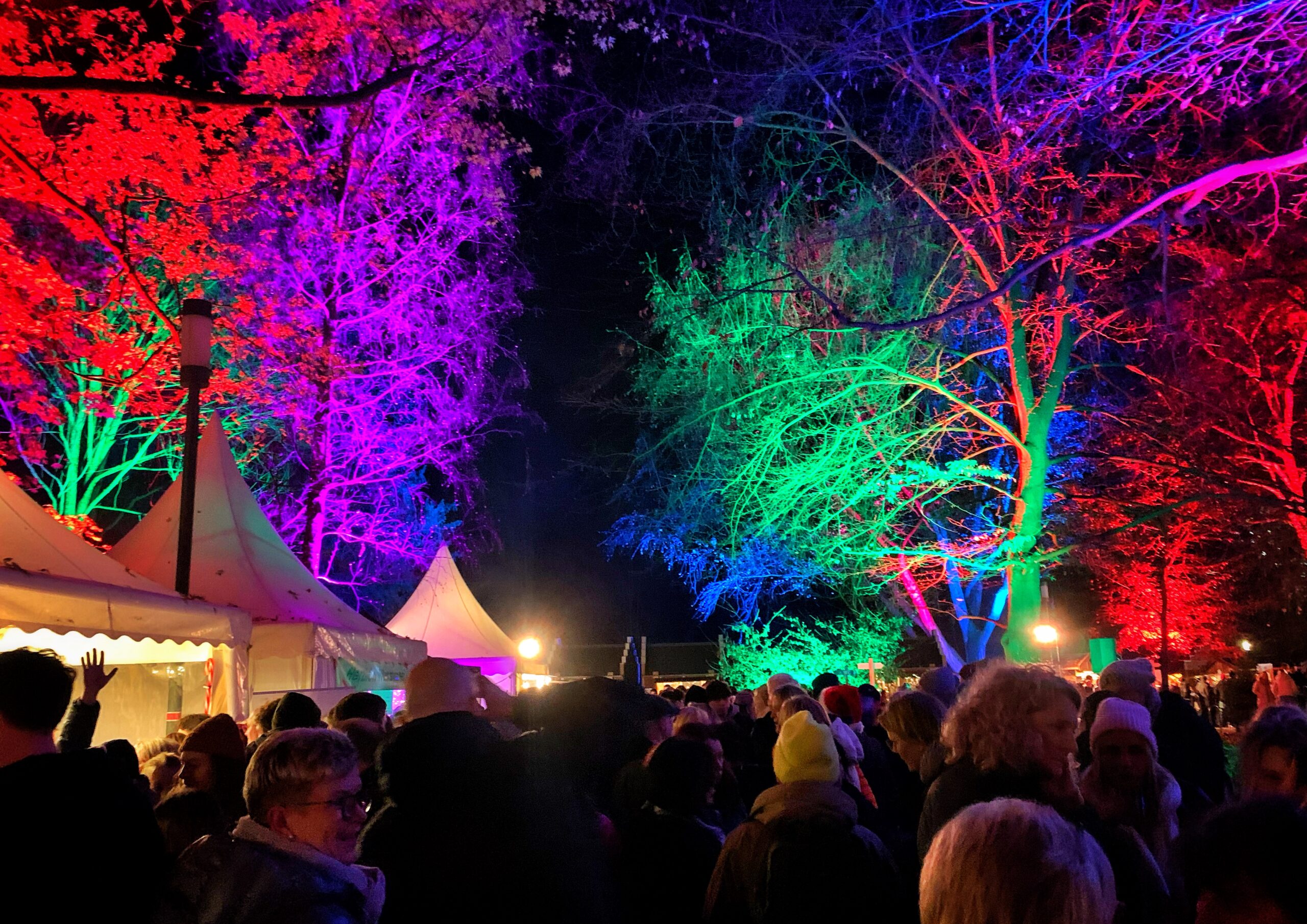 Advent_in_allen_Winkeln_2025_FFO_Gruppe1 (7)